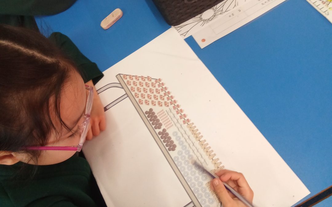 Year 1 – Counting to 50