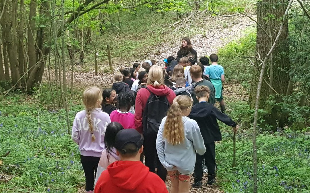 Day One At Frank Chapman