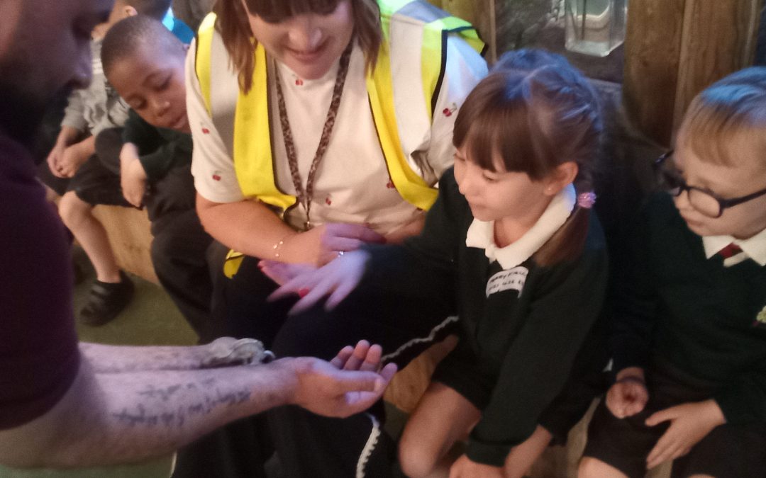 Year 1 – Attwell Farm