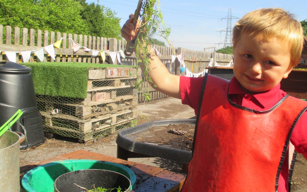 In the Mud Kitchen