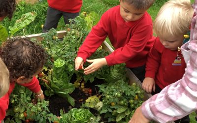 Community Grow Garden